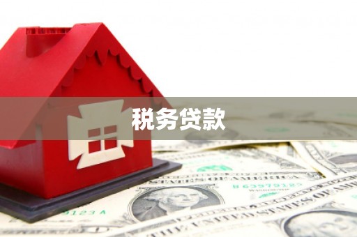 清流税务贷款