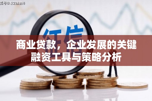 清流商业贷款，企业发展的关键融资工具与策略分析