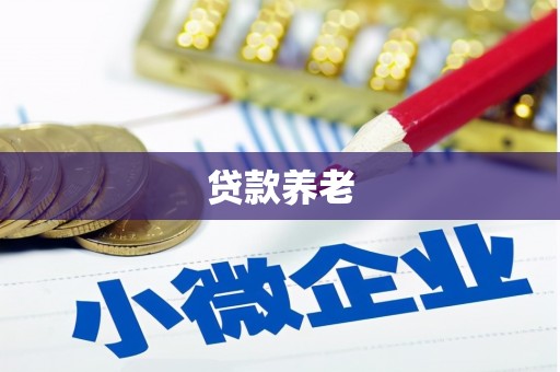 清流贷款养老