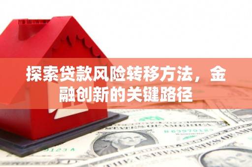 清流探索贷款风险转移方法，金融创新的关键路径