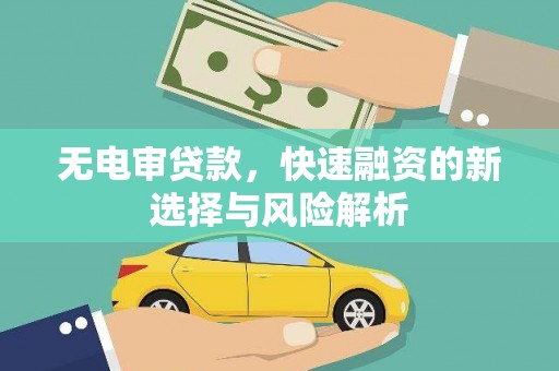 清流无电审贷款，快速融资的新选择与风险解析