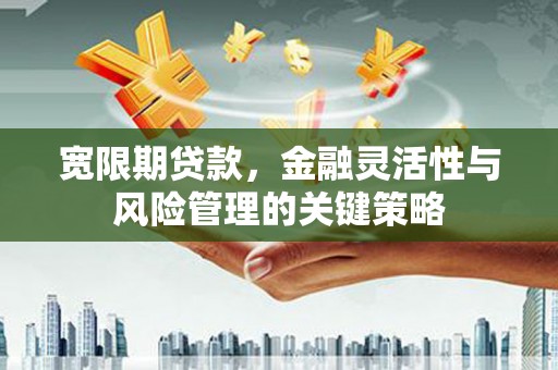 清流宽限期贷款，金融灵活性与风险管理的关键策略