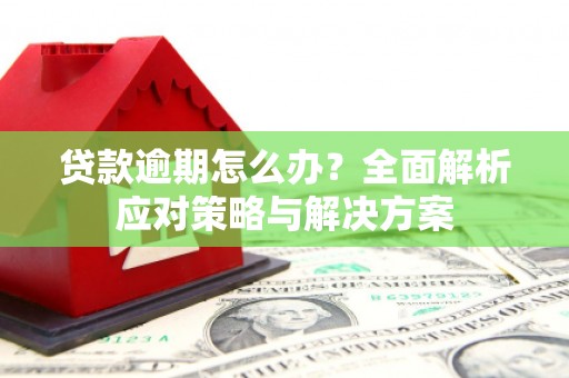 清流贷款逾期怎么办？全面解析应对策略与解决方案