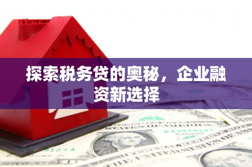 清流探索税务贷的奥秘，企业融资新选择