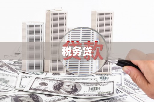 清流税务贷