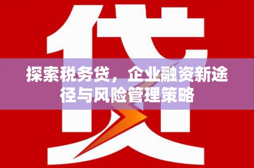 清流探索税务贷，企业融资新途径与风险管理策略