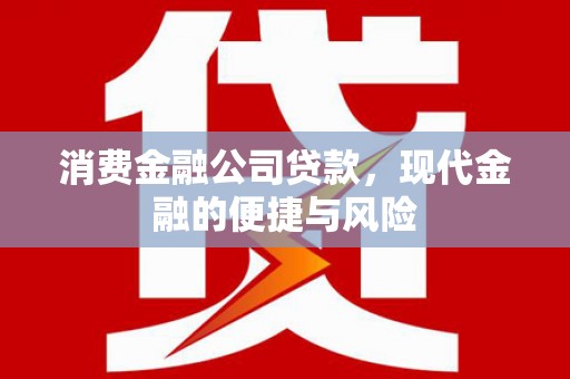 清流消费金融公司贷款，现代金融的便捷与风险
