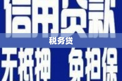 清流税务贷