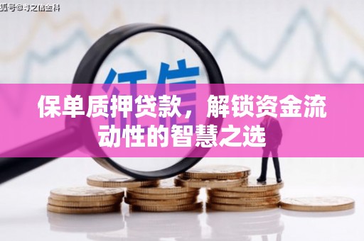 清流保单质押贷款，解锁资金流动性的智慧之选