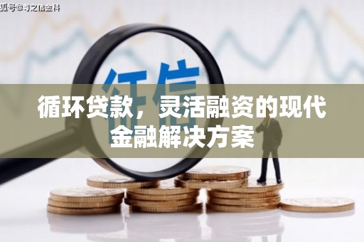 清流循环贷款，灵活融资的现代金融解决方案