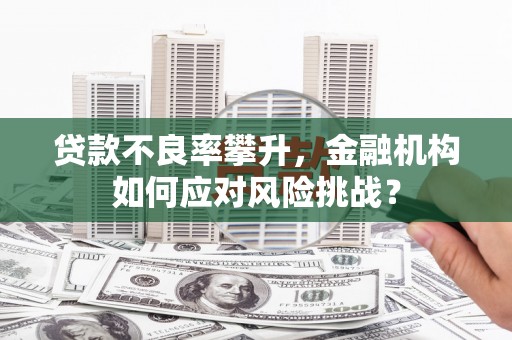 清流贷款不良率攀升，金融机构如何应对风险挑战？