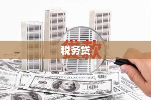 清流税务贷