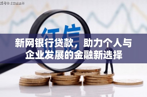 清流新网银行贷款，助力个人与企业发展的金融新选择
