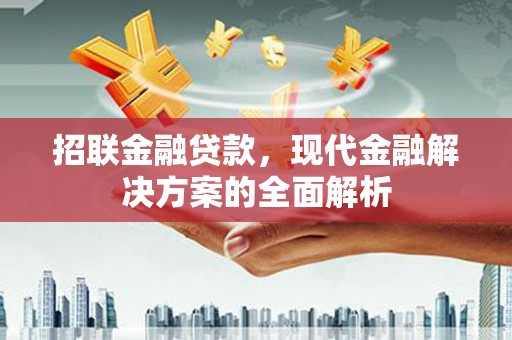 清流招联金融贷款，现代金融解决方案的全面解析