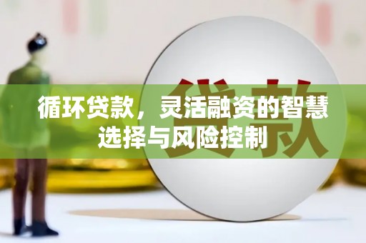 清流循环贷款，灵活融资的智慧选择与风险控制