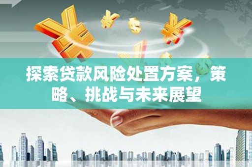 清流探索贷款风险处置方案，策略、挑战与未来展望