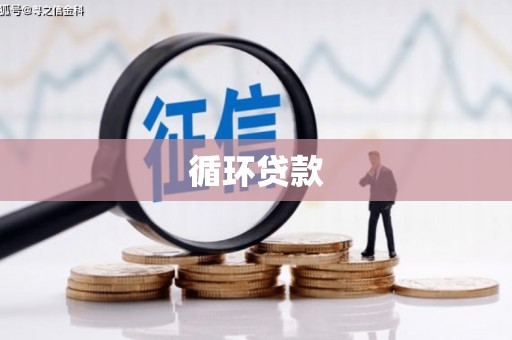 清流循环贷款