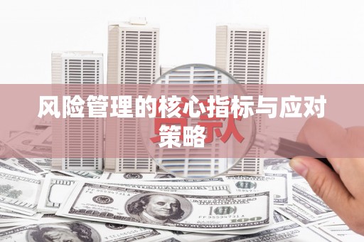 清流风险管理的核心指标与应对策略