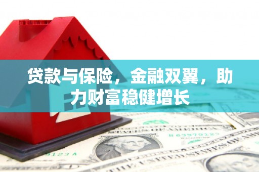 清流贷款与保险，金融双翼，助力财富稳健增长