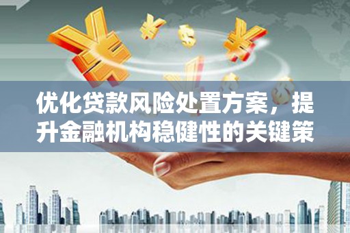 清流优化贷款风险处置方案，提升金融机构稳健性的关键策略