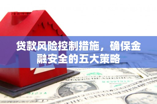 清流贷款风险控制措施，确保金融安全的五大策略