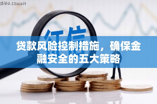 清流贷款风险控制措施，确保金融安全的五大策略