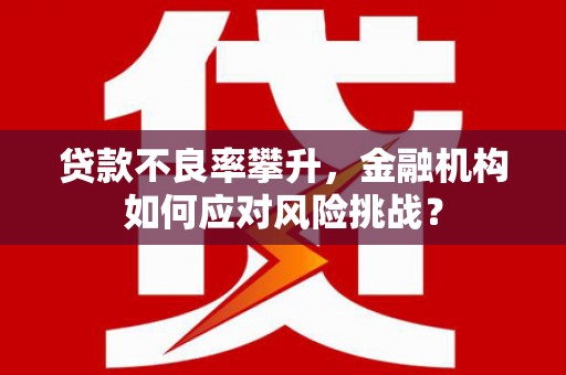 清流贷款不良率攀升，金融机构如何应对风险挑战？