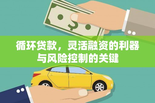 清流循环贷款，灵活融资的利器与风险控制的关键