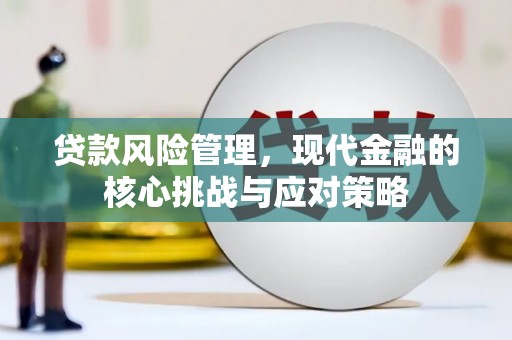 清流贷款风险管理，现代金融的核心挑战与应对策略