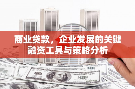 清流商业贷款，企业发展的关键融资工具与策略分析