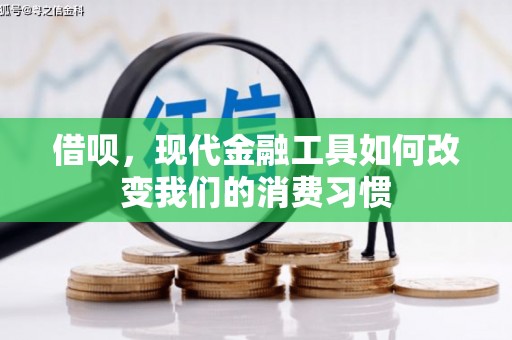 清流借呗，现代金融工具如何改变我们的消费习惯