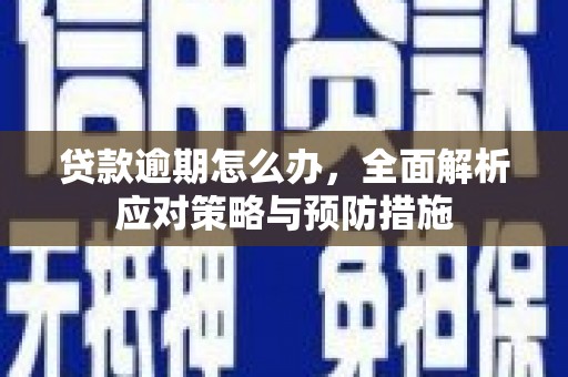 清流贷款逾期怎么办，全面解析应对策略与预防措施