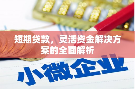 清流短期贷款，灵活资金解决方案的全面解析