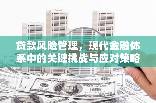 清流贷款风险管理，现代金融体系中的关键挑战与应对策略