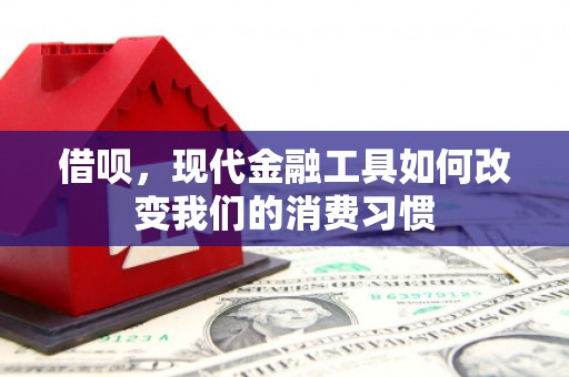 清流借呗，现代金融工具如何改变我们的消费习惯