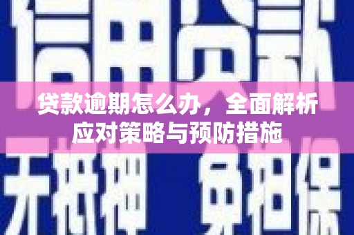 清流贷款逾期怎么办，全面解析应对策略与预防措施