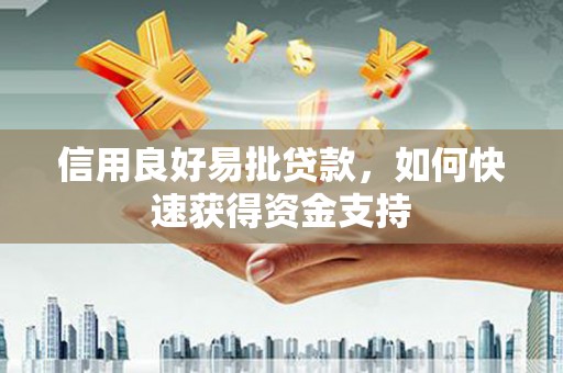 清流信用良好易批贷款，如何快速获得资金支持