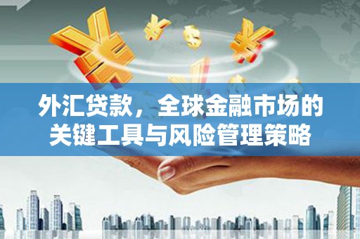 清流外汇贷款，全球金融市场的关键工具与风险管理策略