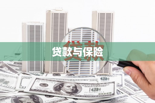 清流贷款与保险