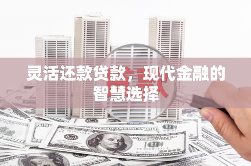 清流灵活还款贷款，现代金融的智慧选择