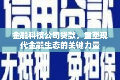 清流金融科技公司贷款，重塑现代金融生态的关键力量