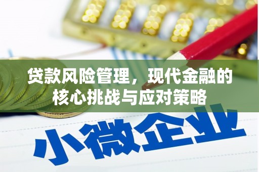 清流贷款风险管理，现代金融的核心挑战与应对策略