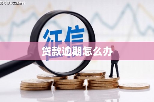 清流贷款逾期怎么办