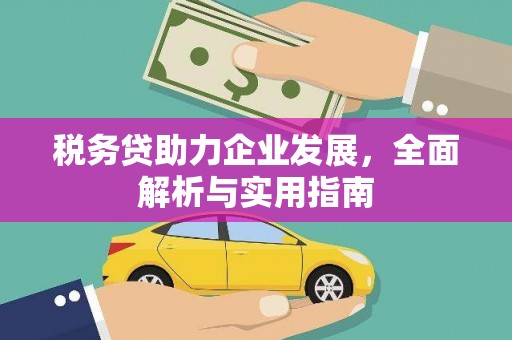 清流税务贷助力企业发展，全面解析与实用指南