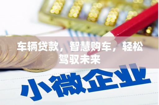清流车辆贷款，智慧购车，轻松驾驭未来