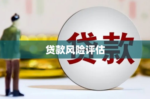 清流贷款风险评估