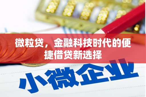 清流微粒贷，金融科技时代的便捷借贷新选择