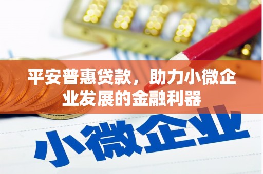 清流平安普惠贷款，助力小微企业发展的金融利器