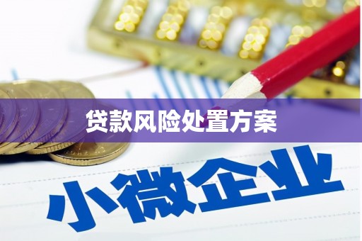 清流贷款风险处置方案