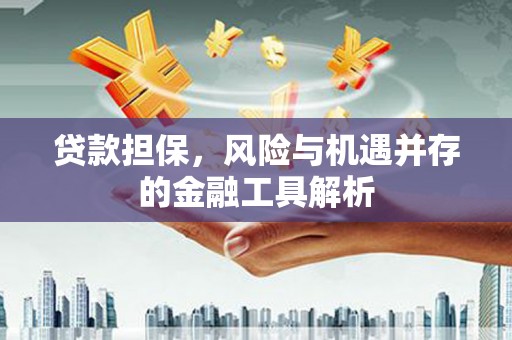 清流贷款担保，风险与机遇并存的金融工具解析